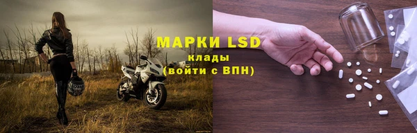 ГАЛЛЮЦИНОГЕННЫЕ ГРИБЫ Пересвет
