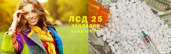 ГАЛЛЮЦИНОГЕННЫЕ ГРИБЫ Пересвет