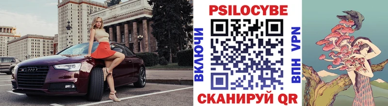 Псилоцибиновые грибы мицелий  Купить  Ядрин 